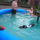 Illustration for article titled How to Win a Darwin Award: Float a Live Surge Protector in a Pool on a Couple of Flip-Flops